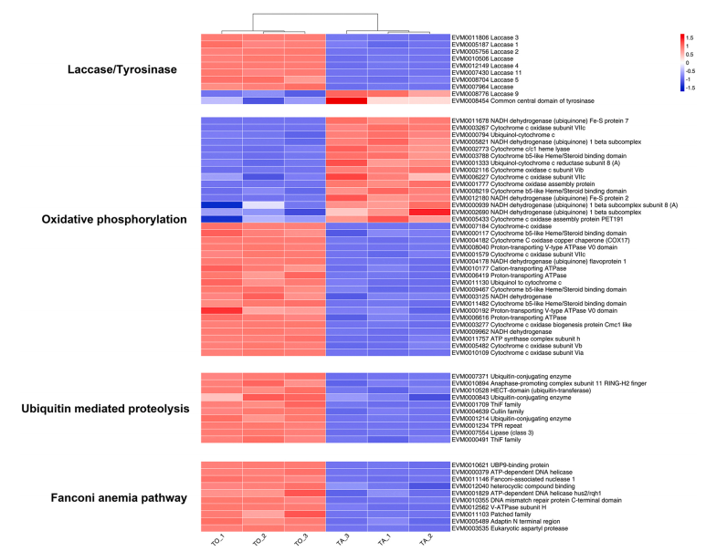 e69bdfb47cf0868b3fda640e15e12253.png e69bdfb47cf0868b3fda640e15e12253.png