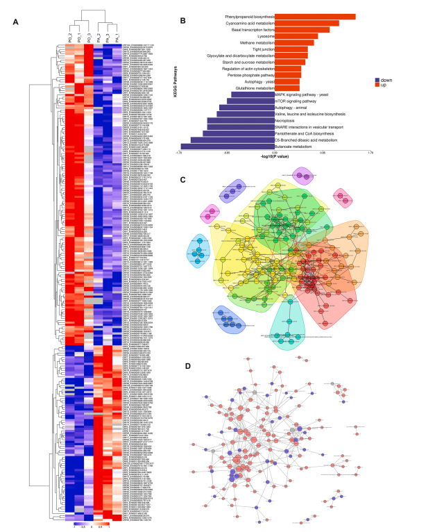 b743710c19d8d013b7ccd9d3a5488b65.png b743710c19d8d013b7ccd9d3a5488b65.png