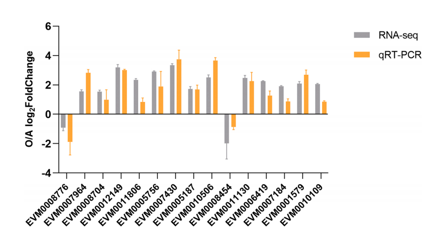 80537d158fe3189ba781e5a95acacfd7.png 80537d158fe3189ba781e5a95acacfd7.png