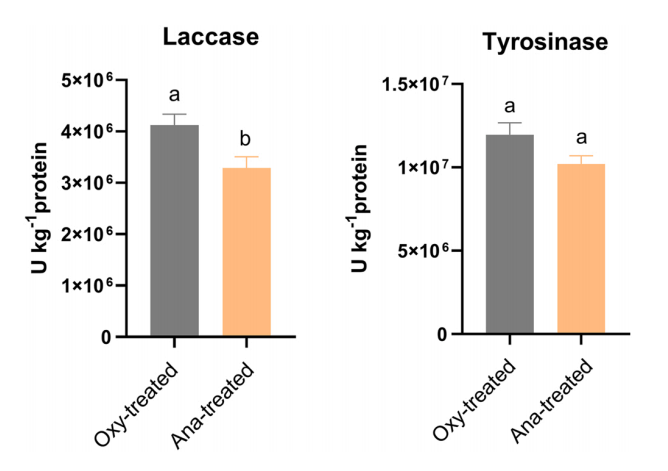 e640262ce917f990b74db5d400516b7a.png e640262ce917f990b74db5d400516b7a.png