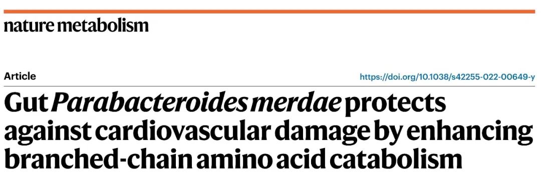 84e7a8d1e9e884400dc09199a70dd5f5.jpg 84e7a8d1e9e884400dc09199a70dd5f5.jpg