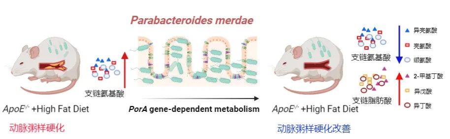 50afb63f2c02c104d928d205a635b9f5.jpg 50afb63f2c02c104d928d205a635b9f5.jpg