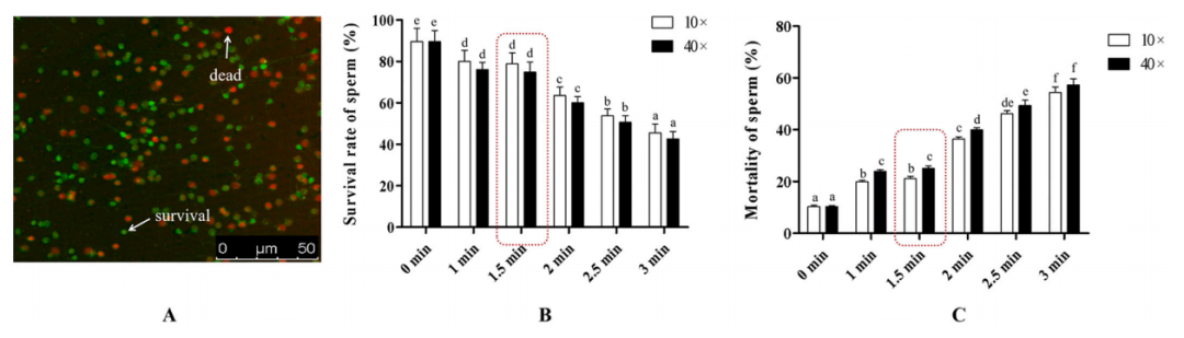 9c414fee832b4c685ea442538a63a31c.png 9c414fee832b4c685ea442538a63a31c.png
