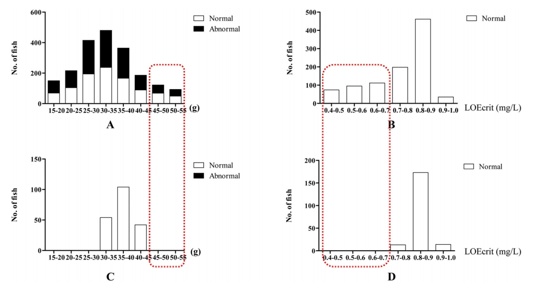 5c198846ca13acf5a7fe69002c00b044.png 5c198846ca13acf5a7fe69002c00b044.png