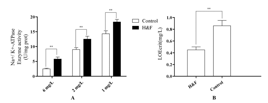 c2bdb9cec52a204a7e0b953a31e1499c.png c2bdb9cec52a204a7e0b953a31e1499c.png