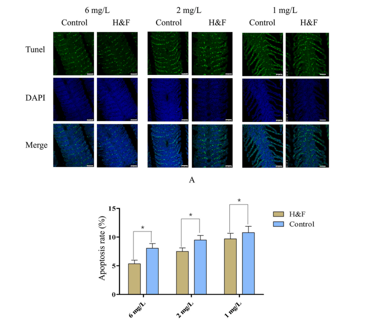 e5fcbca6a4a397f8ecfea009397ca5fd.png e5fcbca6a4a397f8ecfea009397ca5fd.png