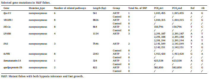 34582705bdb9c86ba1b718f64d672d95.png 34582705bdb9c86ba1b718f64d672d95.png