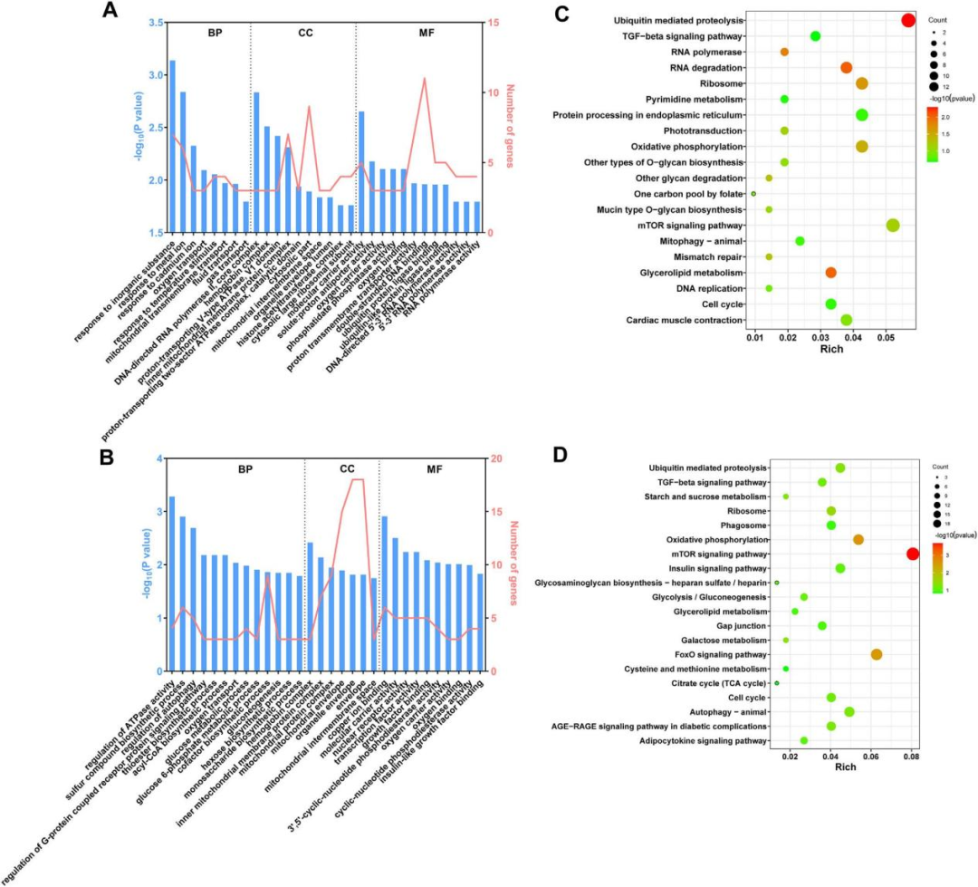 296478e59d3b0cf7c182a73a083850d0.png 296478e59d3b0cf7c182a73a083850d0.png