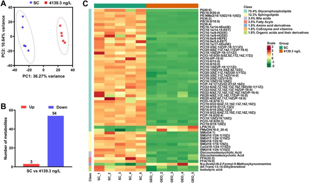 ffc231040382e279d30ca2dec9b6950f.png ffc231040382e279d30ca2dec9b6950f.png