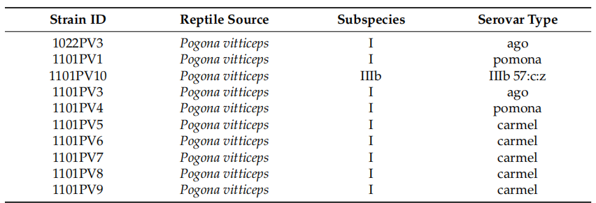 428d1d4b0df7ddb26a19bdaaae2d26ed.png 428d1d4b0df7ddb26a19bdaaae2d26ed.png