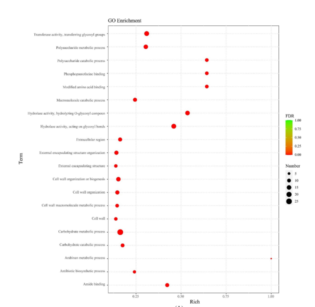 35e601deba164d422c645527f6ba112e.png 35e601deba164d422c645527f6ba112e.png