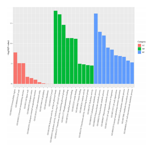 dee59178e9f383aa88a353c8c5bf28e8.png dee59178e9f383aa88a353c8c5bf28e8.png