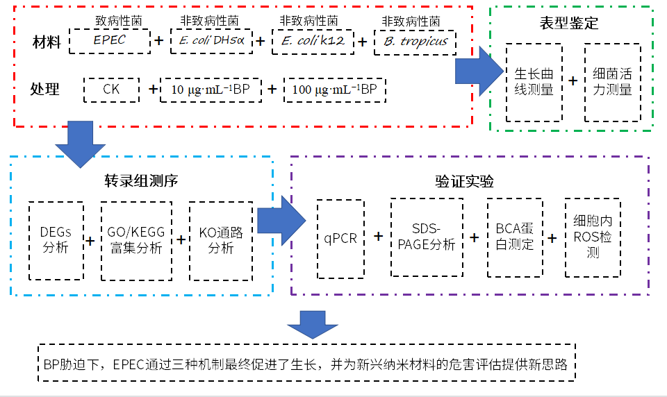 280cd487c9b6db757b87c9736d57abf9.png 280cd487c9b6db757b87c9736d57abf9.png