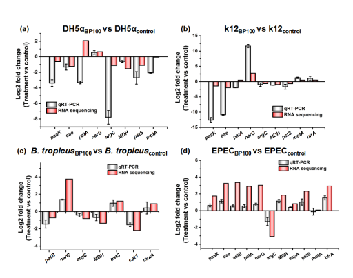 58dff40ad2154e0347d85b38dc066c94.png 58dff40ad2154e0347d85b38dc066c94.png