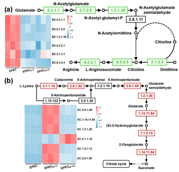 5cb2cf47a4fb0ae2aa7310789f23710c.png 5cb2cf47a4fb0ae2aa7310789f23710c.png