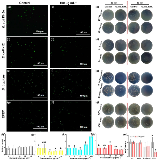 9351683d2d0aa28fcc312bd02848e970.png 9351683d2d0aa28fcc312bd02848e970.png