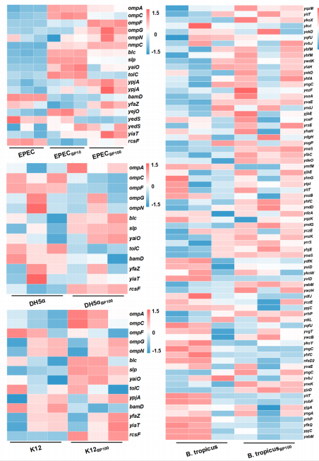 4268a9dbbc6bc2fc9c8f874afd21f359.png 4268a9dbbc6bc2fc9c8f874afd21f359.png