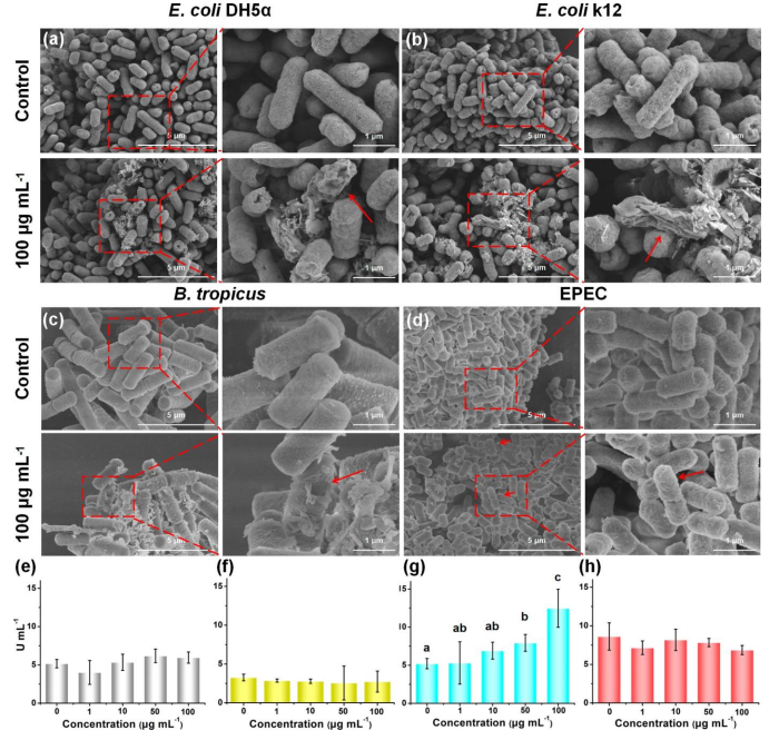 4df6899567f89c9a33ee119a123e2389.png 4df6899567f89c9a33ee119a123e2389.png