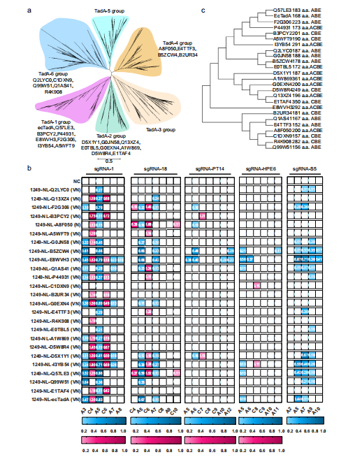0eeb061e2f113dc514285ab793851fec.png 0eeb061e2f113dc514285ab793851fec.png