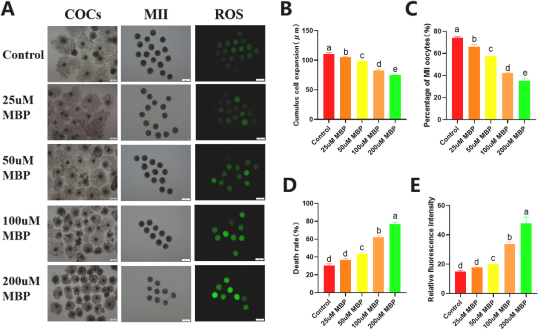 536de900d9c1e805049603dca06f4491.png 536de900d9c1e805049603dca06f4491.png