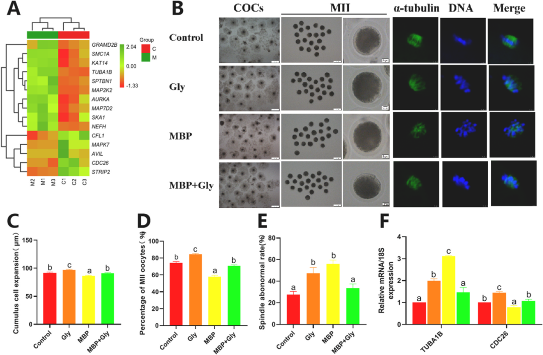 1c78ee4a26cfd4e36ddd416979e245dc.png 1c78ee4a26cfd4e36ddd416979e245dc.png