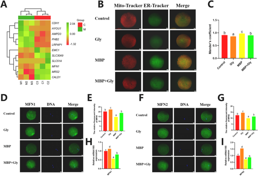 4e4adbdd0d3205228b5e9d72ffdbd733.png 4e4adbdd0d3205228b5e9d72ffdbd733.png