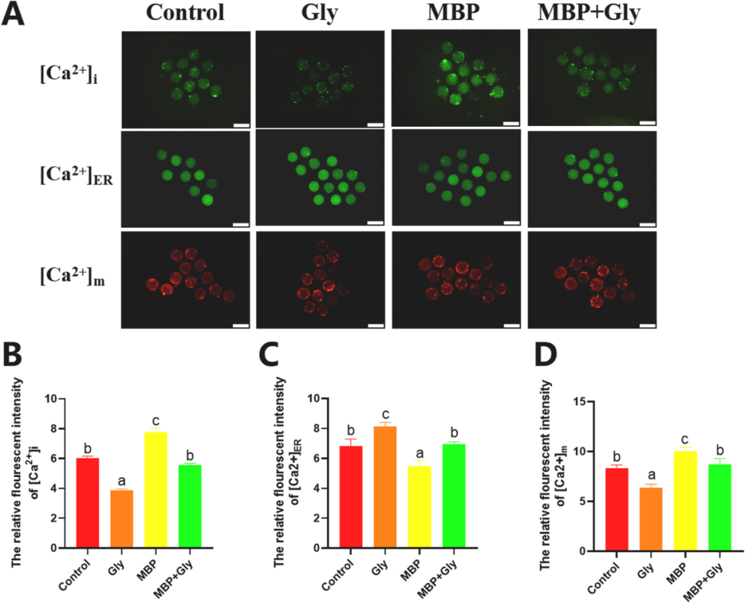 a23e83380dcb872d97e984f02f25c7c8.png a23e83380dcb872d97e984f02f25c7c8.png