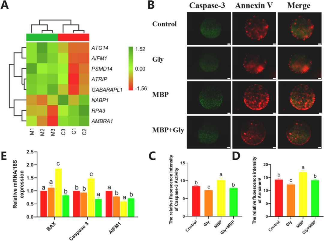 448024c50fd5593984772e0ad0794cae.png 448024c50fd5593984772e0ad0794cae.png