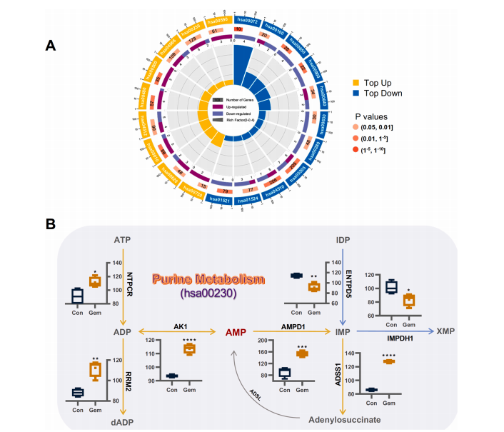 d2e28061f3385bf0fab16b6a560cc79a.png d2e28061f3385bf0fab16b6a560cc79a.png