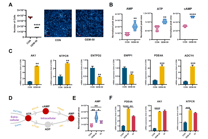 032164a3261a538f562e6464d207b41c.png 032164a3261a538f562e6464d207b41c.png