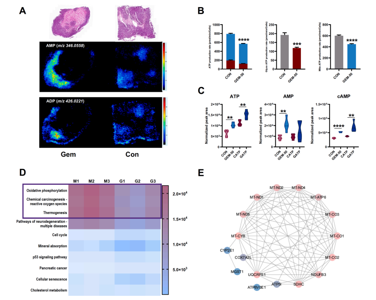 ba3dc4e1ade650aafde3805c5e644965.png ba3dc4e1ade650aafde3805c5e644965.png