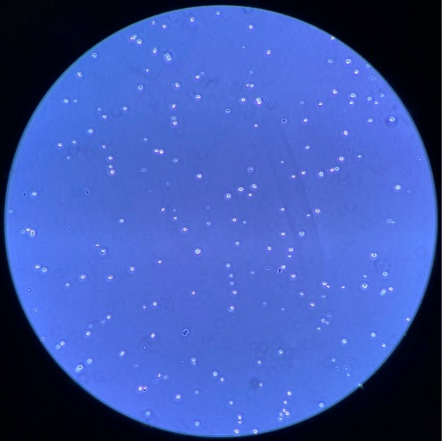 00d86126e7687b11820a7de164a4e254.png