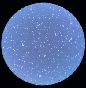 9d172af801ce6326ecd78627554668b6.png