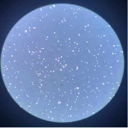cf6be2aa63cc8d9632b4c844b81c3683.png