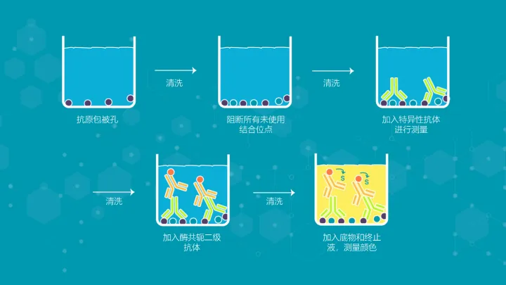 a8ef01ae3cccad7f034a6710a9f8c8ba.png
