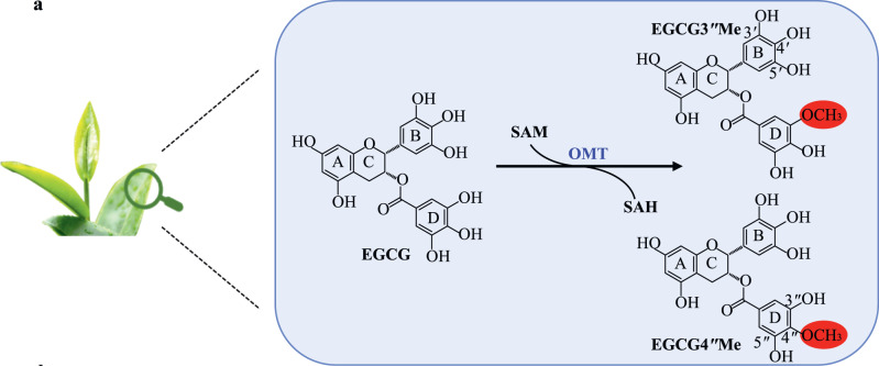 c851d0b6adc9ebbdb0214695a161b3dc.png c851d0b6adc9ebbdb0214695a161b3dc.png