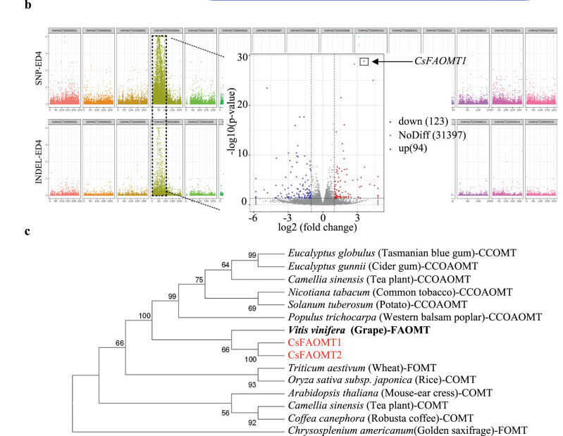 3a2c49664bb07ca3e42ba45e39f231ef.png 3a2c49664bb07ca3e42ba45e39f231ef.png