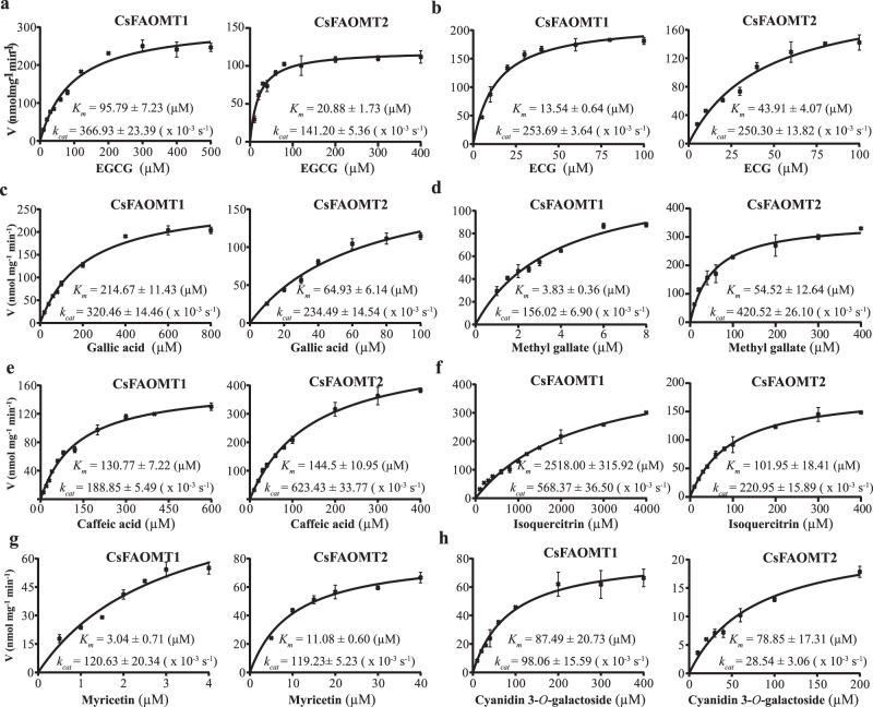 a5233b42c2a8024023cb20bff67cc953.png a5233b42c2a8024023cb20bff67cc953.png