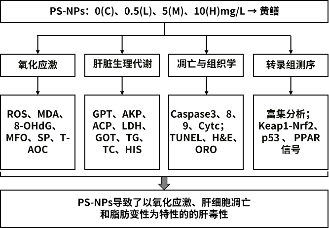 图片15.png