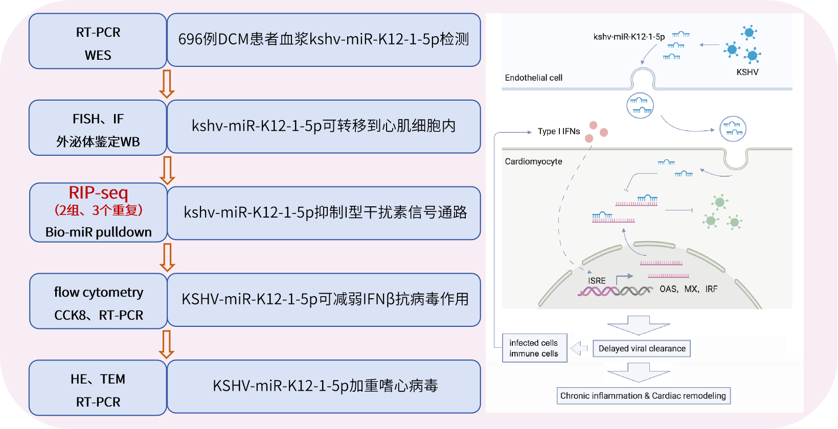 技术路线.png