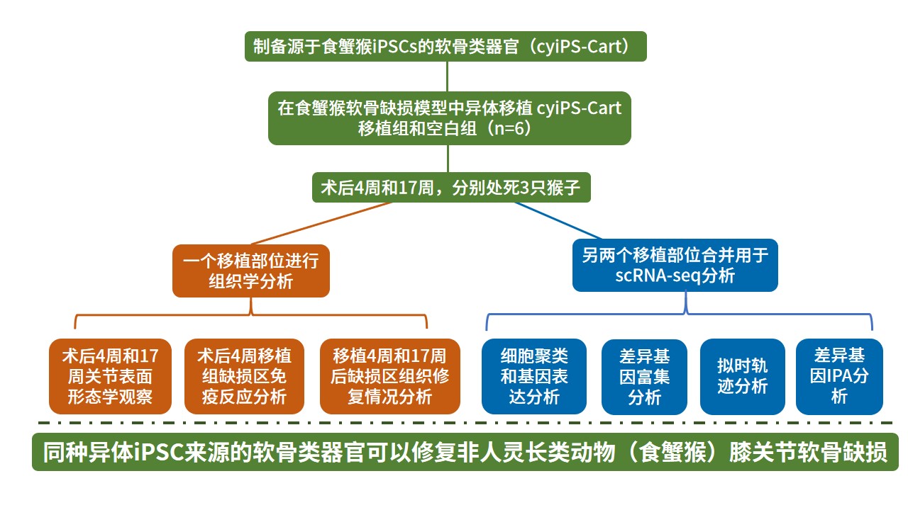 sch公众号(2).jpg