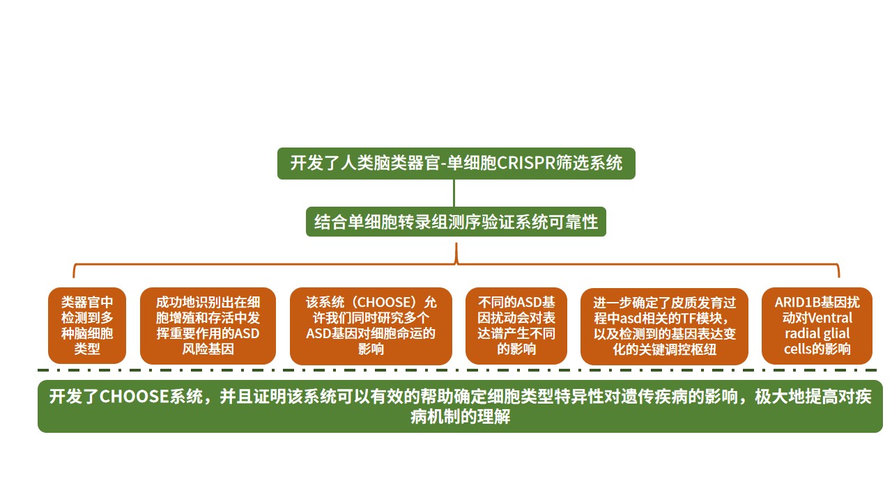 sch公众号(1).jpg