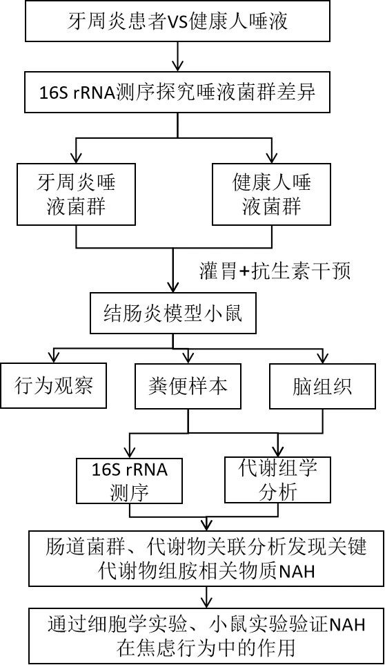 图4.jpg