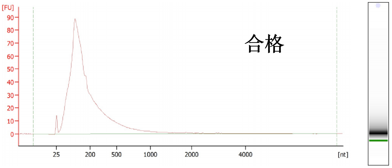 图片18.png