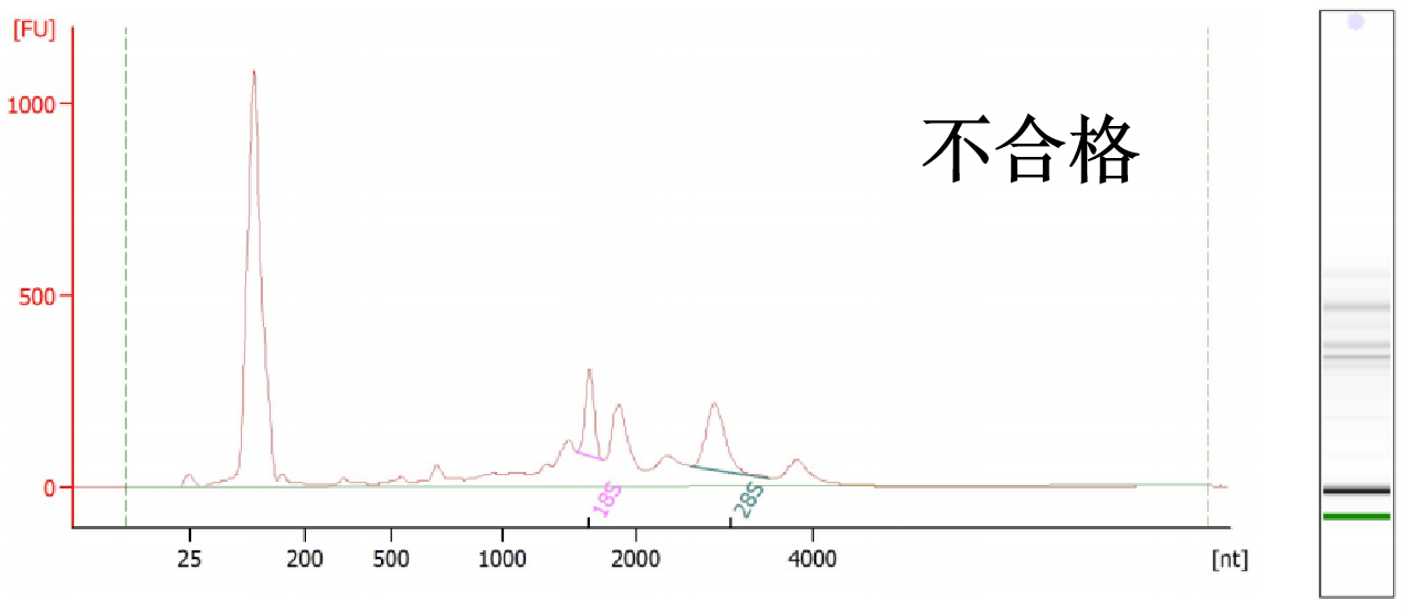 图片19.png
