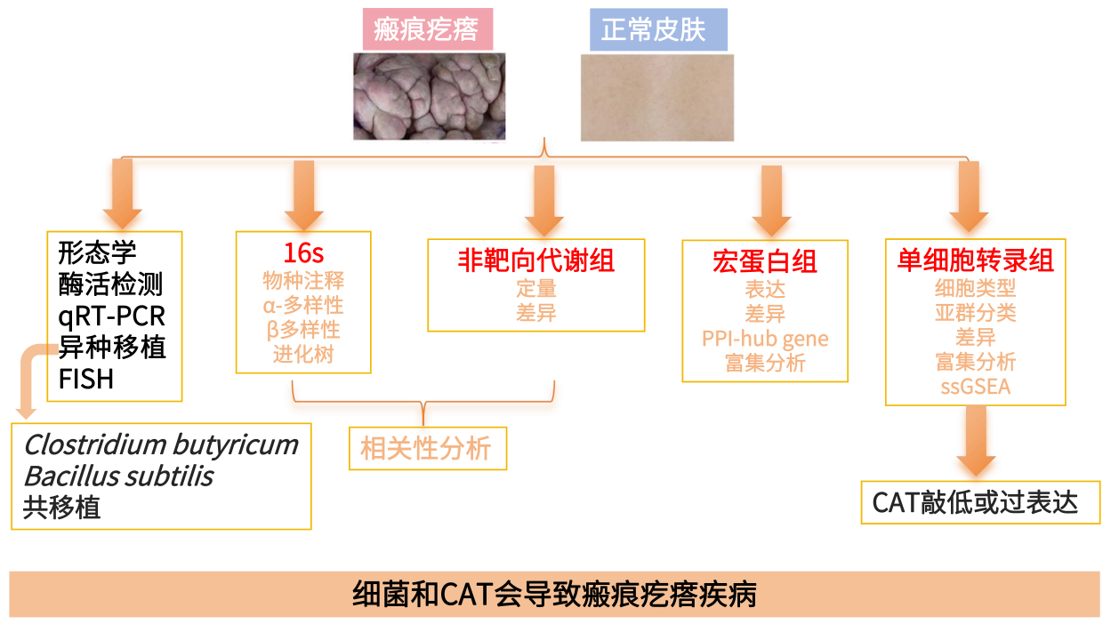 图片11.png