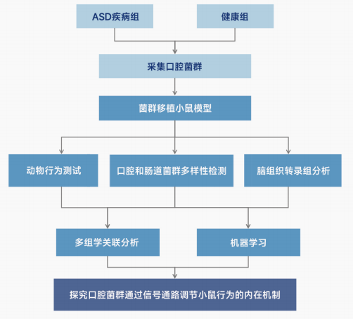 图片20.png
