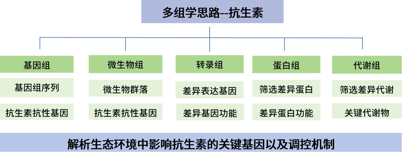 路线1.jpg