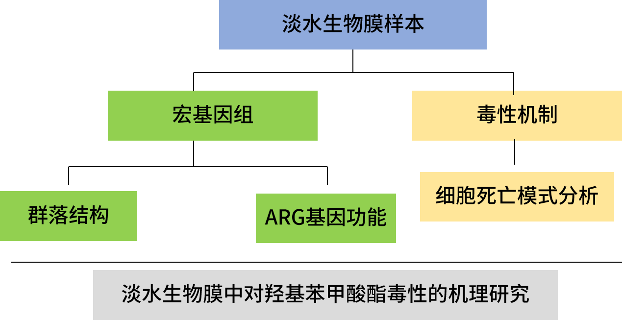 路线3.png