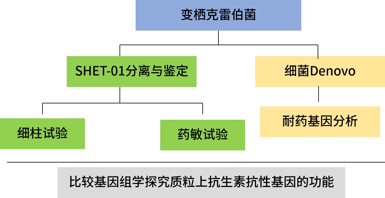 路线2.jpg